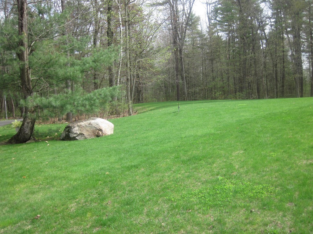 45 Babcock Tavern Road Ware, MA 01082 - Photo 8 of 30 Gallery Image 8