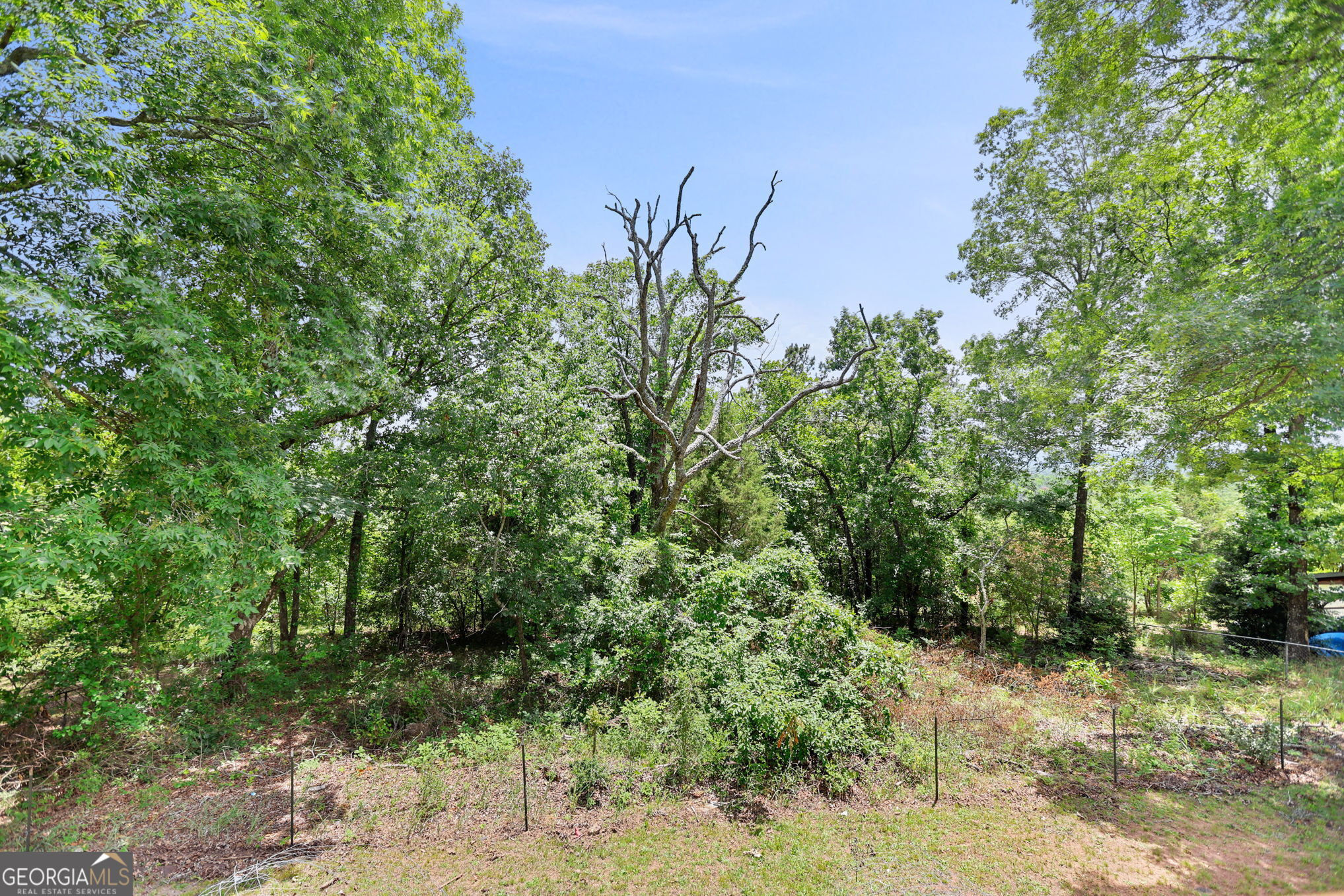 7060 Scenic Heights Road Manchester, GA 31816 - Photo 46 of 52 a view of a yard with plants and trees