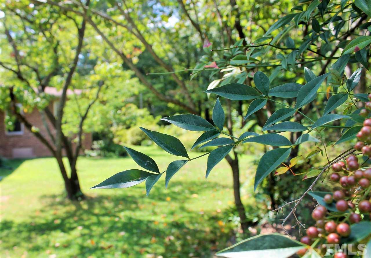 2624 Winton Road Durham, NC 27707 - Photo 25 of 25 Gallery Image 25