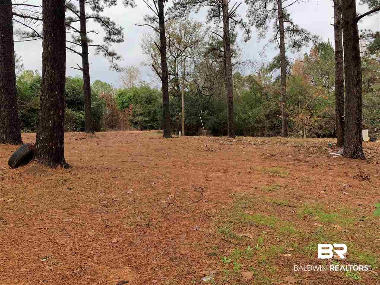 166 Pleas Lane Frisco City, AL 36445 - Photo 2 of 3