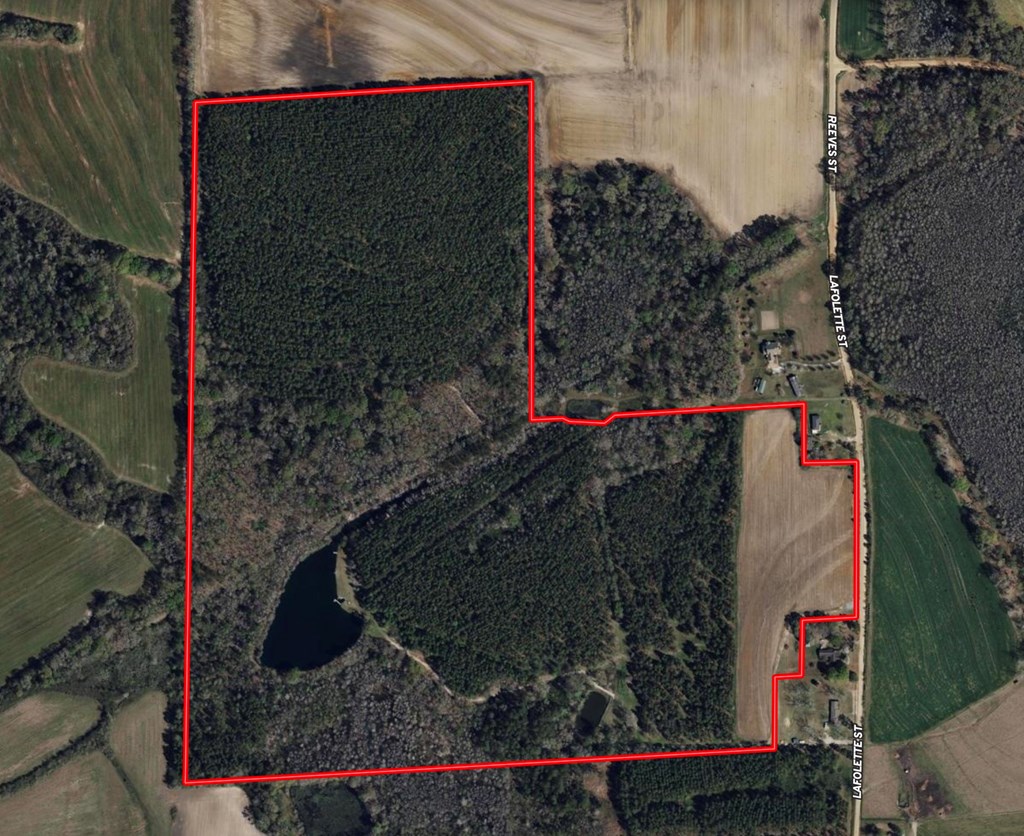 1640 Lafollette Road Slocomb, AL 36375 - Photo 62 of 64