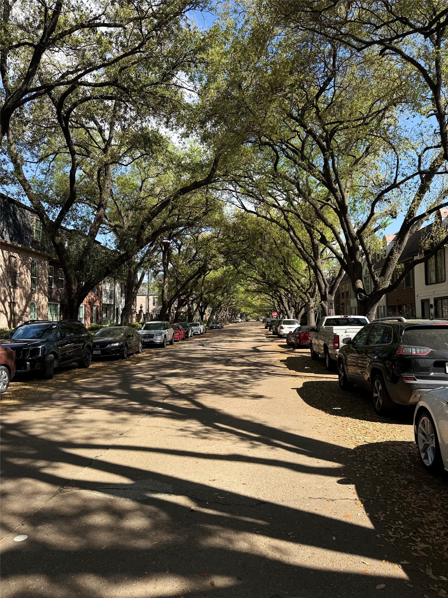 357 North Post Oak Lane, Unit 207 Houston, TX 77024 - Photo 9 of 25