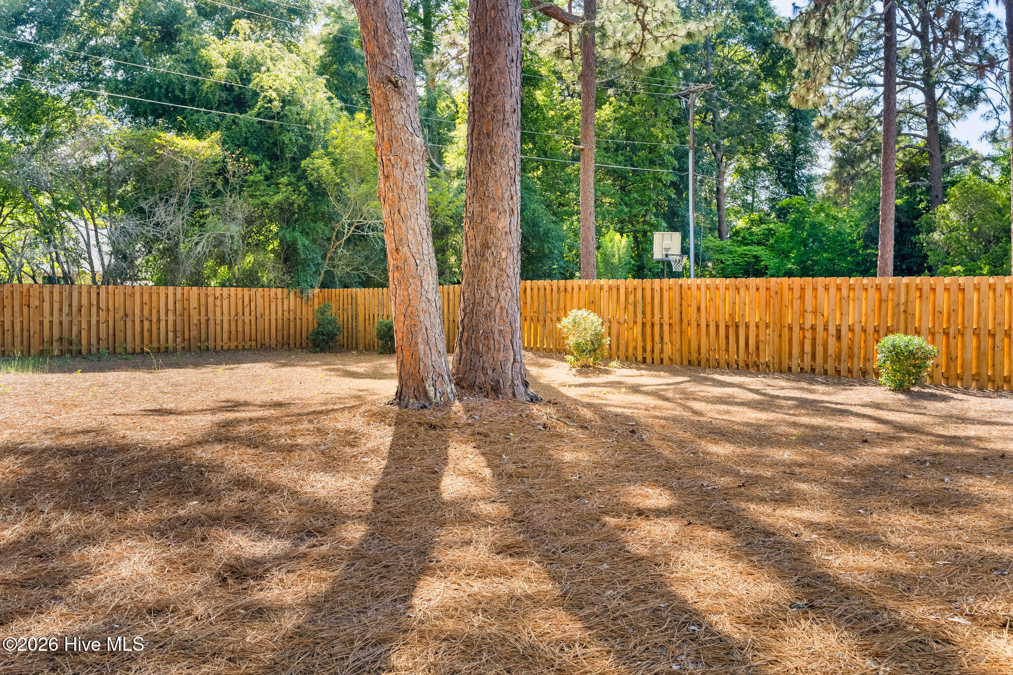 5 McLeod Road Pinehurst, NC 28374 - Photo 28 of 45 Backyard