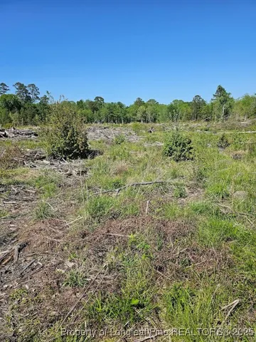 a view of a yard with plants and trees