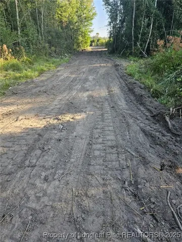 a view of backyard with green space