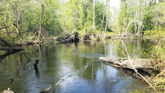 a view of swimming pool of water and green space