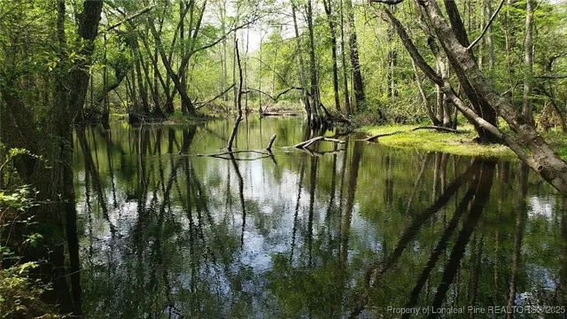 a view of a backyard of the house