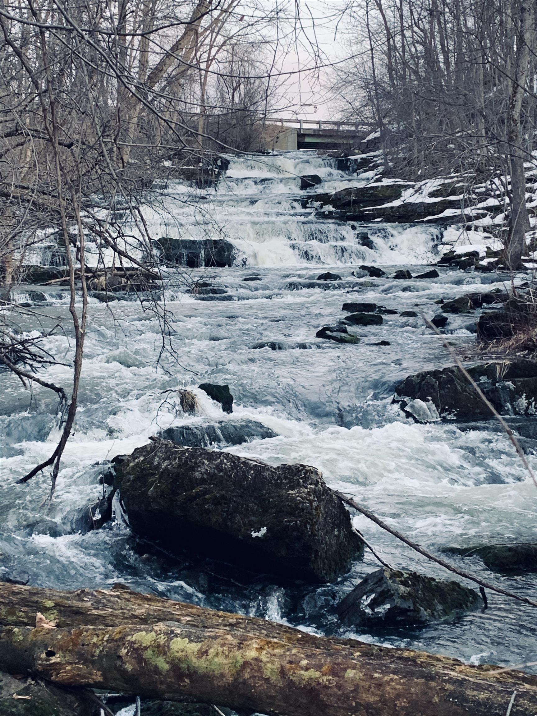 41 Mt Independence Road Orwell, VT 05760 - Photo 2 of 40