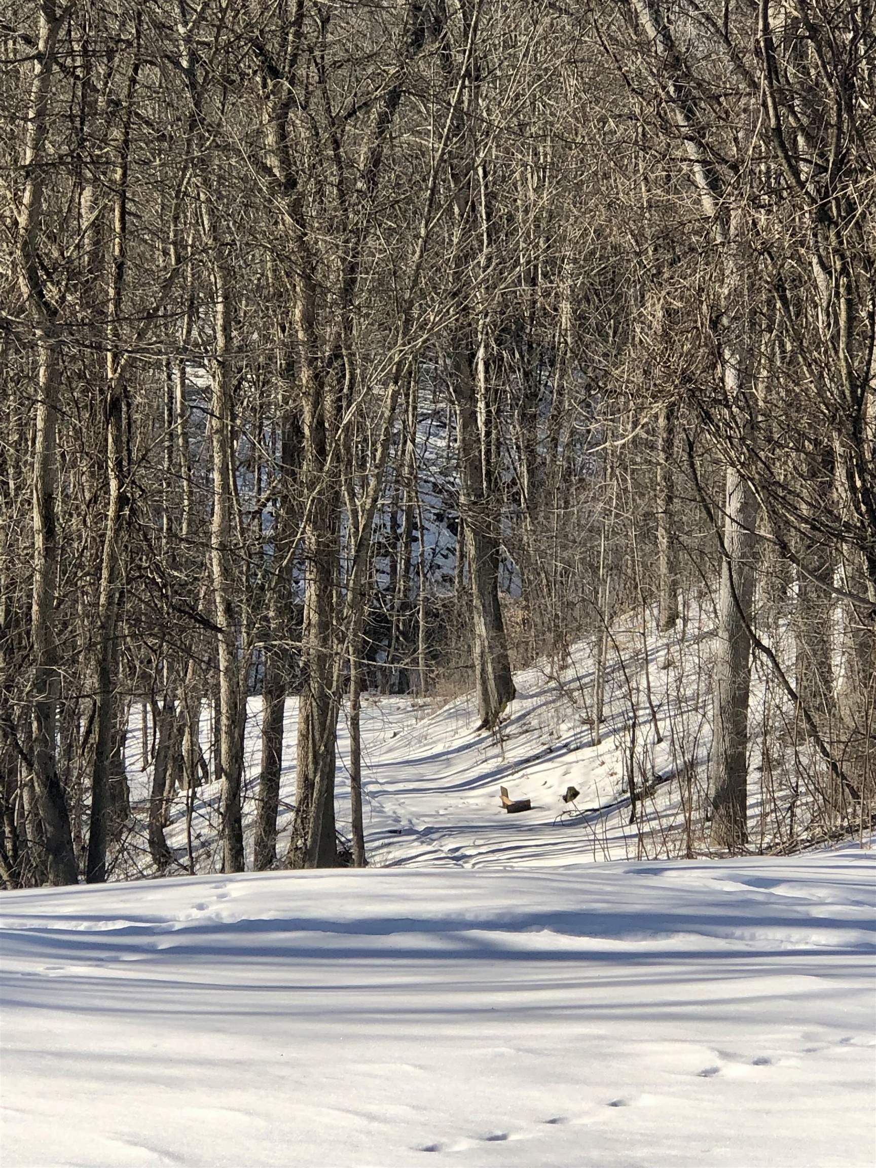 41 Mt Independence Road Orwell, VT 05760 - Photo 25 of 40