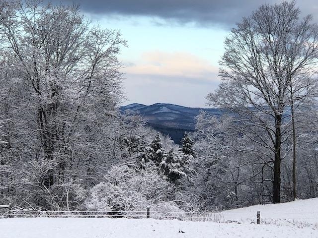 41 Mt Independence Road Orwell, VT 05760 - Photo 3 of 40