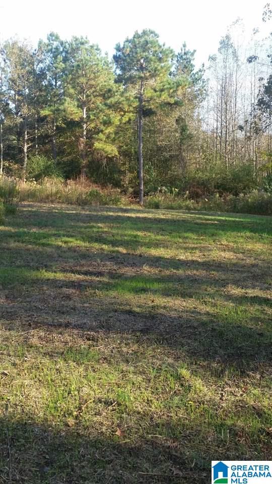 0 County Road 654 Muscadine, AL 36269 - Photo 6 of 9