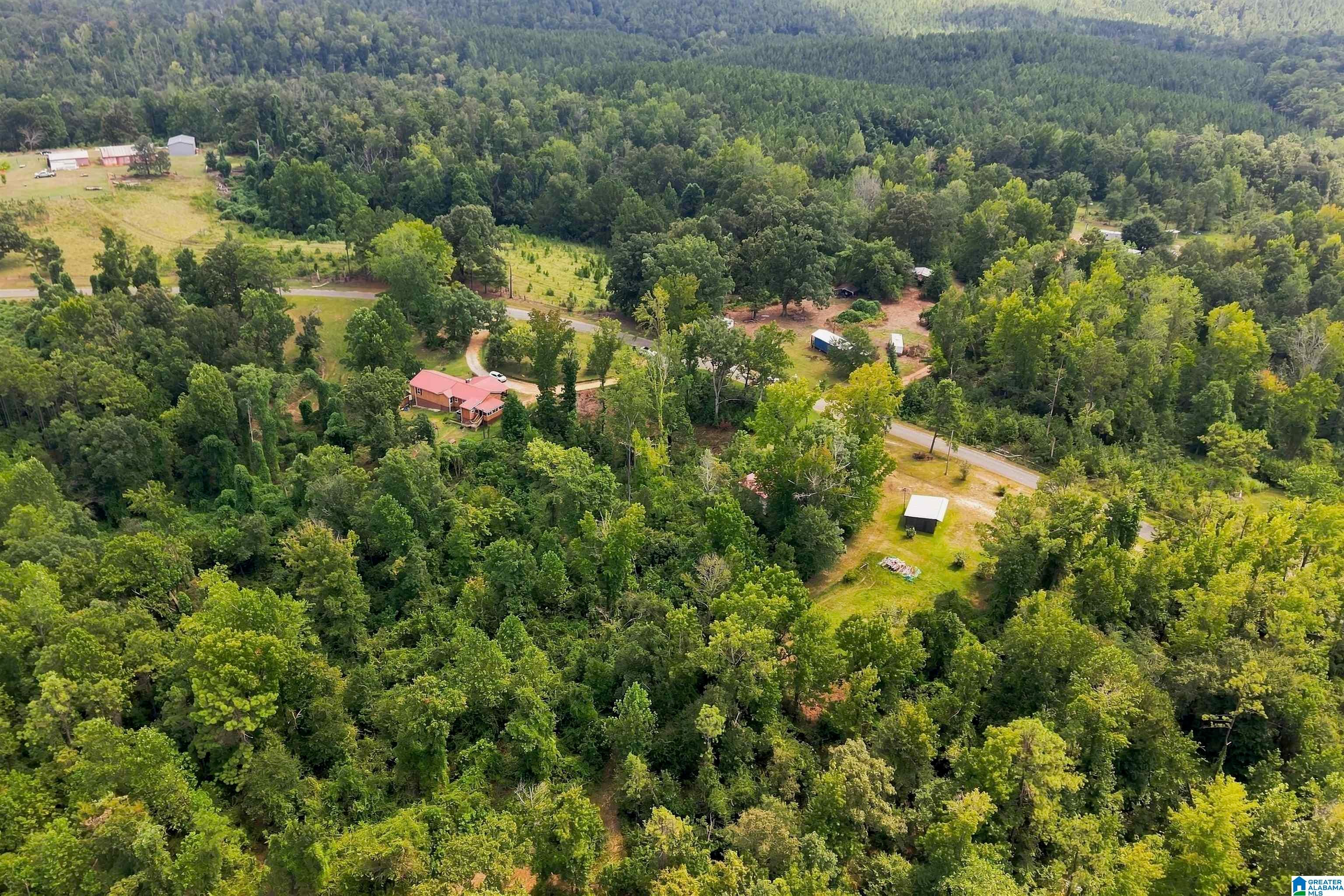 2017 Mt Ivah Church Road Marion, AL 36756 - Photo 40 of 41 Gallery Image 40