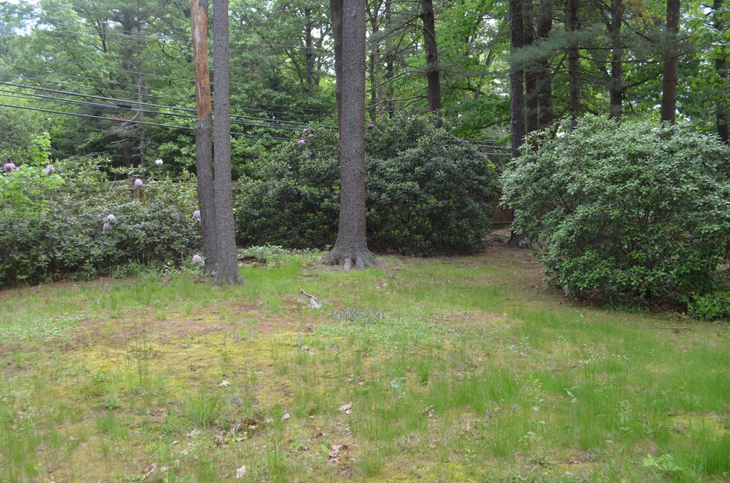 181 Topsfield Road Boxford, MA 01921 - Photo 9 of 17 Gallery Image 9
