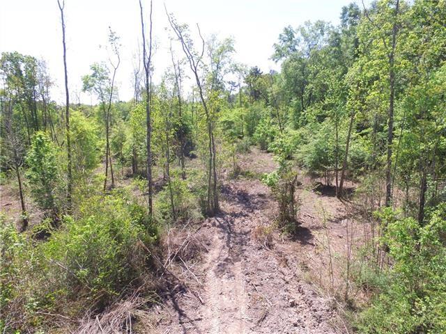 11220 General Ott Road Hammond, LA 70403 - Photo 2 of 4 Gallery Image 2