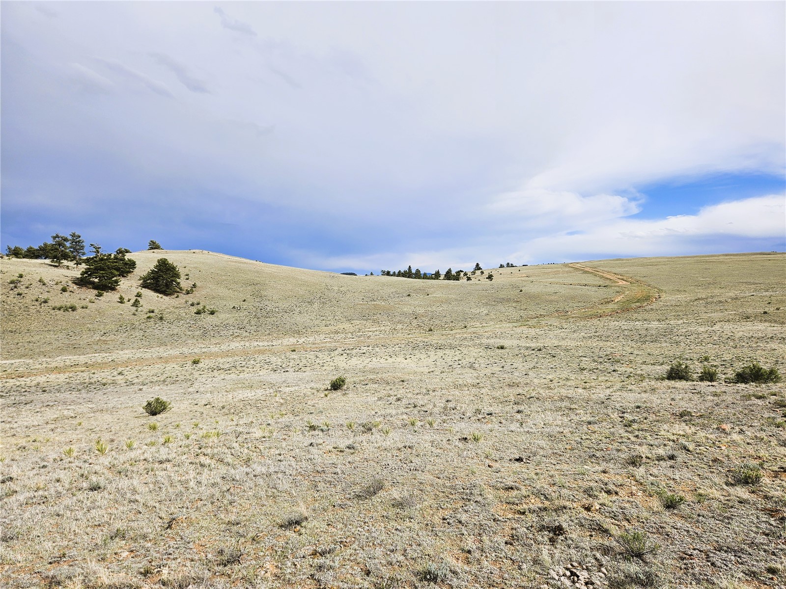 Pcs#24131 Chato Road Hartsel, CO 80449 - Photo 8 of 28