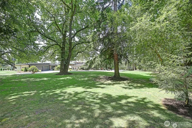 a view of outdoor space with deck and trees