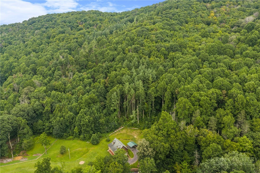 2717 Meat Camp Road Boone, NC 28607 - Photo 47 of 49 Gallery Image 47