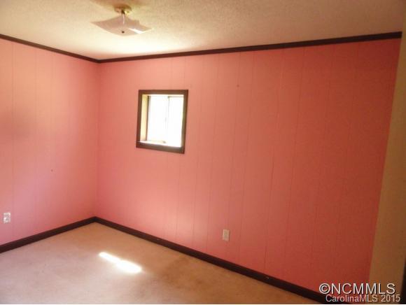 1532 Newfound Road Leicester, NC 28748 - Photo 17 of 20