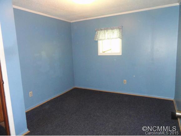 1532 Newfound Road Leicester, NC 28748 - Photo 19 of 20