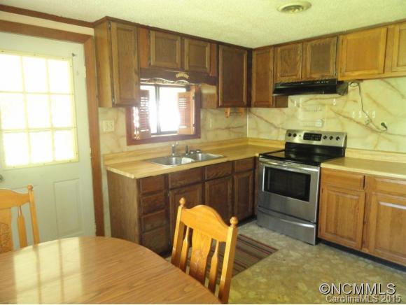 1532 Newfound Road Leicester, NC 28748 - Photo 3 of 20