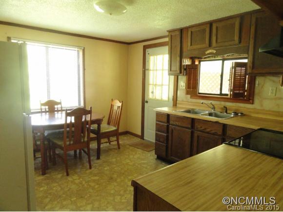 1532 Newfound Road Leicester, NC 28748 - Photo 5 of 20