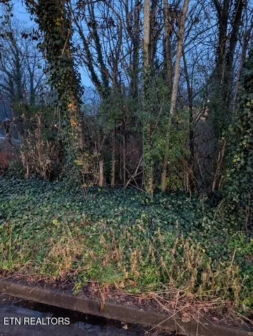 $27,500 | 950 Cumberland Street, Harriman, TN 37748