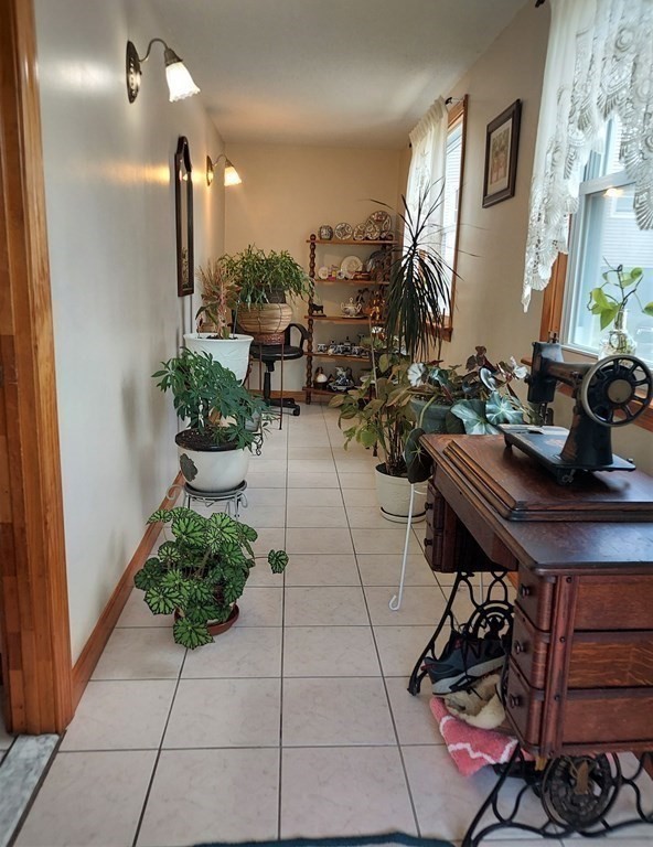 30 Carver Street Fall River, MA 02721 - Photo 3 of 19 a living room with furniture and a potted plant