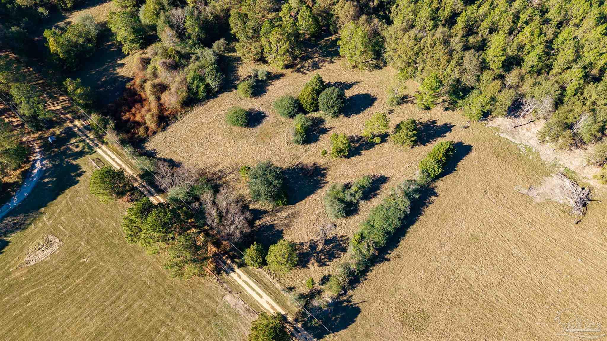 1756 Jacks Branch Road Cantonment, FL 32533 - Photo 7 of 29 a view of outside area