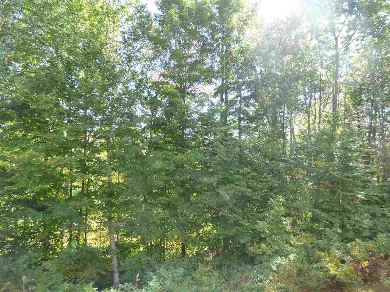 685 Cottage Club Road, Unit 28 Stowe, VT 05672 - Photo 22 of 24 Gallery Image 22