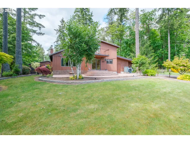 a view of a field with plants and trees