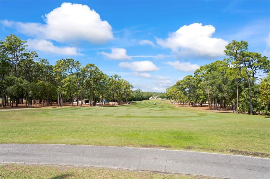 15071 Rialto Avenue Brooksville, FL 34613 - Photo 35 of 41 a view of a big yard with an outdoor space and seating area