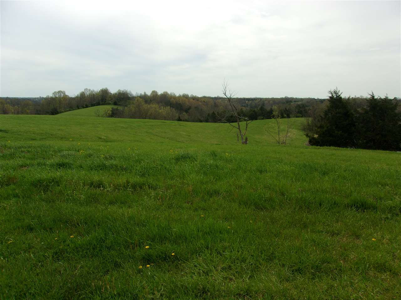 2473 Salem Ridge Road Brooksville, KY 41004 - Photo 1 of 48 Gallery Image 1