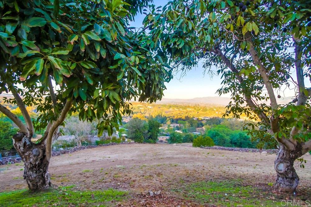 670 Georgine Road Fallbrook, CA 92028 - Photo 22 of 25 This would be a perfect spot for an ADU or workshop, nice level area to add whatever your family needs