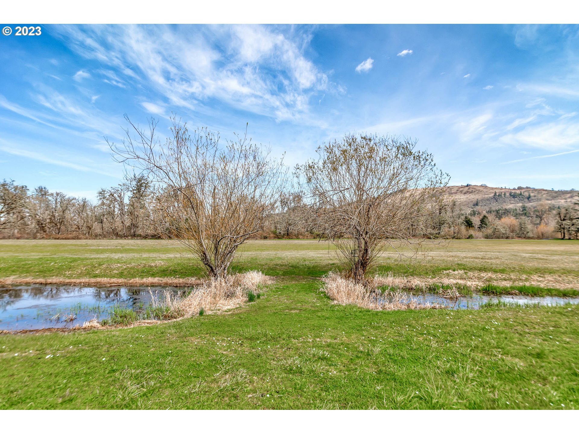 85721 Hampstead Lane Eugene, OR 97405 - Photo 5 of 45