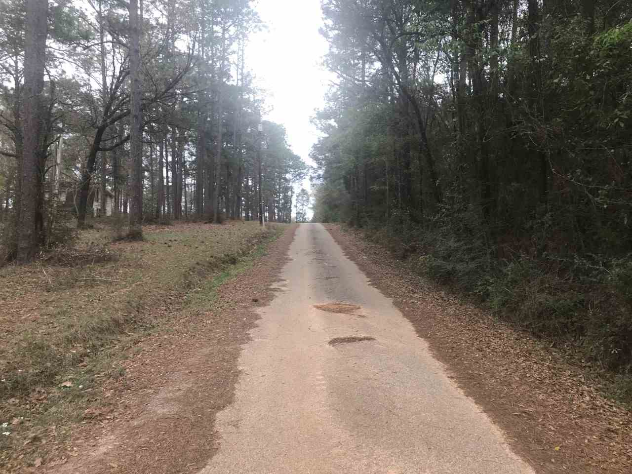 0 Pine Treat Road Bay Minette, AL 36507 - Photo 3 of 6 East View of Pinetreat Rd