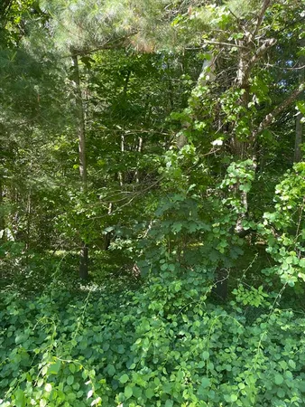 $95,000 | Lot A Ware Road, Belchertown, MA 01007