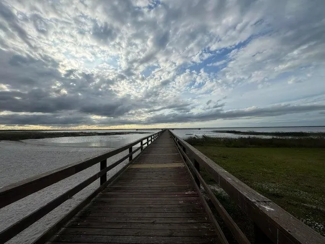 a view of a street with potted plants