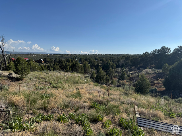46205 Little Elk Road Fruitland, UT 84027 - Photo 19 of 24 View of mountain background