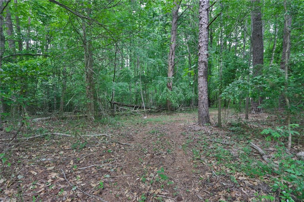 Tbd Murray Road State Road, NC 28676 - Photo 4 of 11 Gallery Image 4