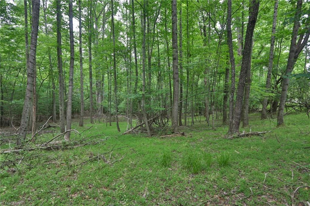 Tbd Murray Road State Road, NC 28676 - Photo 5 of 11 Gallery Image 5