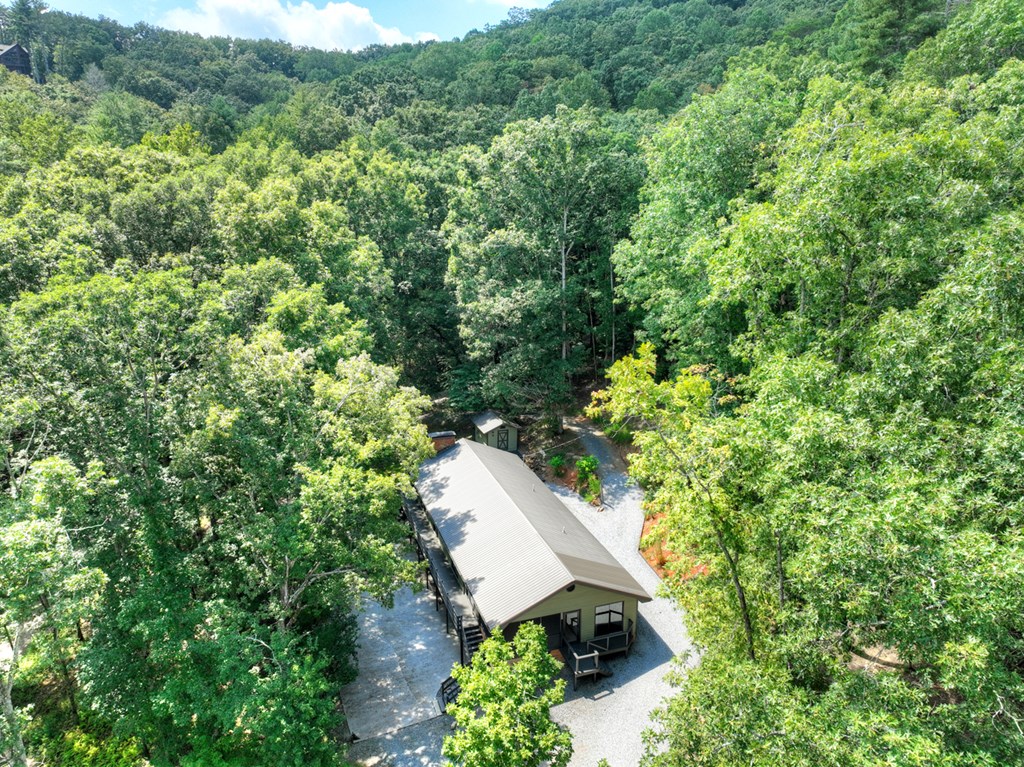 260 Flt Crk Crossing Blue Ridge, GA 30513 - Photo 13 of 64 Great Room with Fixed Glass Windows