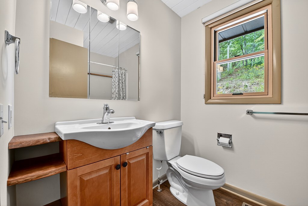 260 Flt Crk Crossing Blue Ridge, GA 30513 - Photo 14 of 64 Great Rm w/Brick FP & Book Shelves