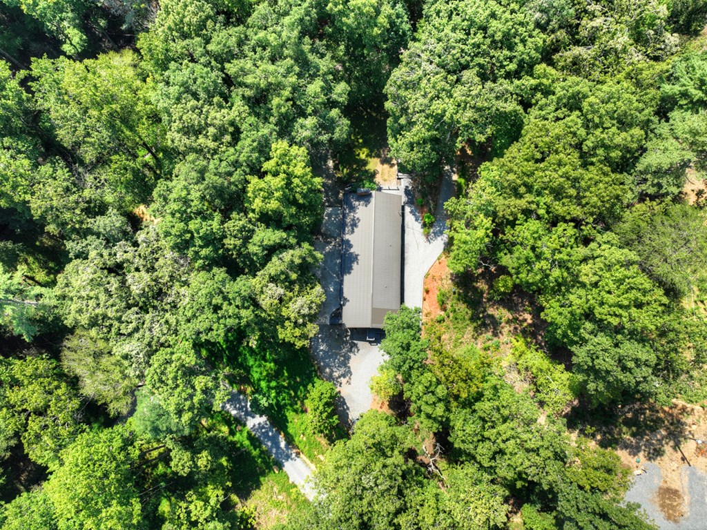 260 Flt Crk Crossing Blue Ridge, GA 30513 - Photo 37 of 64 Circular Driveway Approach