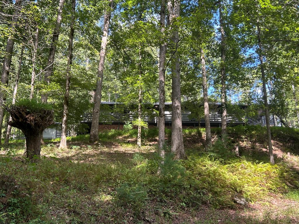 260 Flt Crk Crossing Blue Ridge, GA 30513 - Photo 60 of 64 Level Decking from Storage Building to House