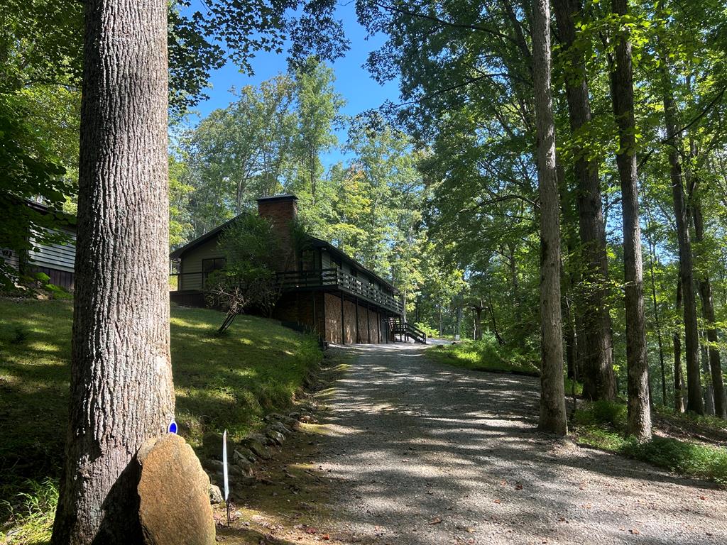 260 Flt Crk Crossing Blue Ridge, GA 30513 - Photo 63 of 64 Level Ramp or One Step Entry