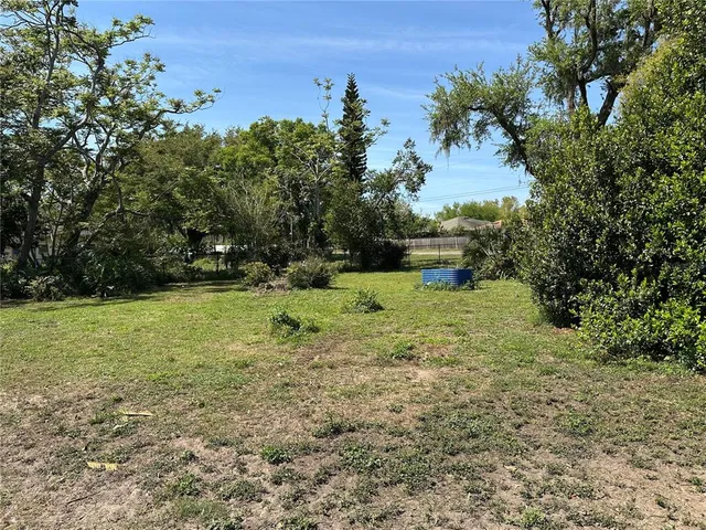 a view of a field with trees