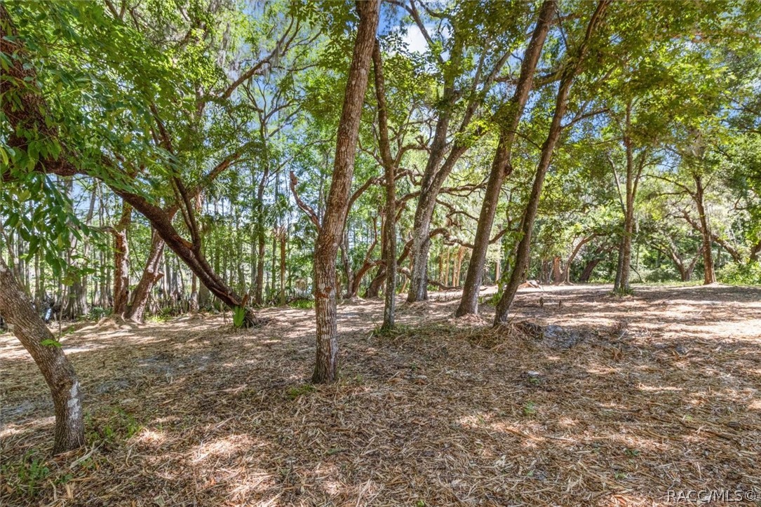1255 South Estate Point Inverness, FL 34450 - Photo 41 of 84
