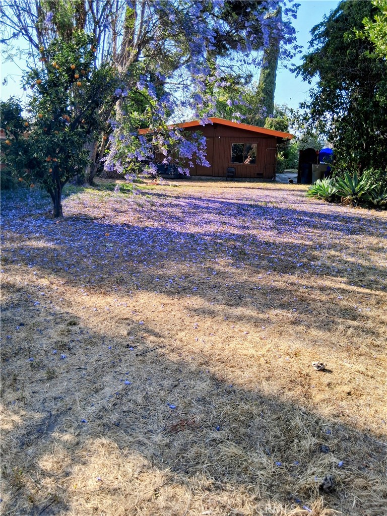 1768 Wright Street Pomona, CA 91766 - Photo 5 of 31 Back view of backyard