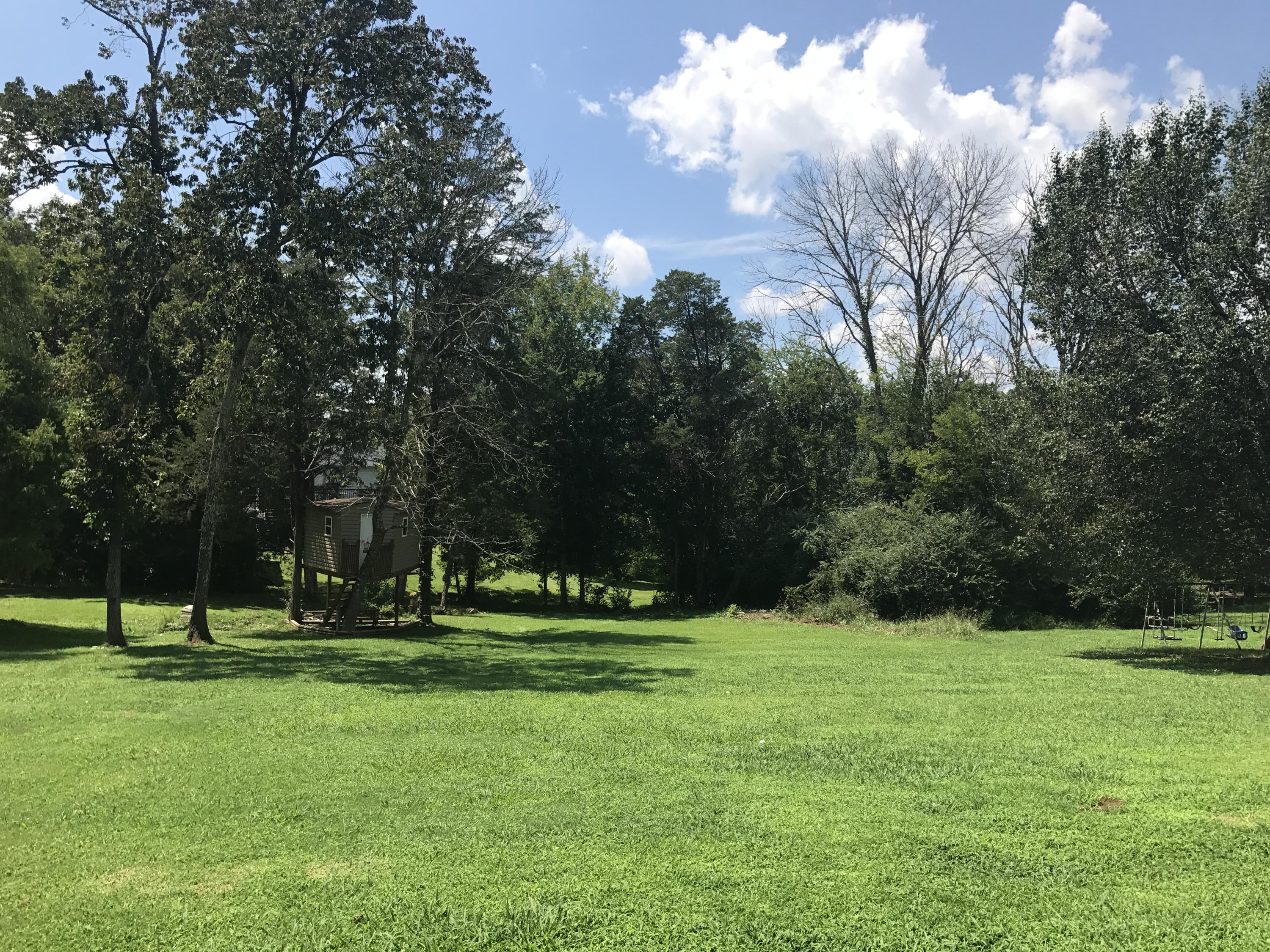 3427 Ralph Phelps Road Louisville, TN 37777 - Photo 11 of 34 Gently sloped back yard+dream treehouse