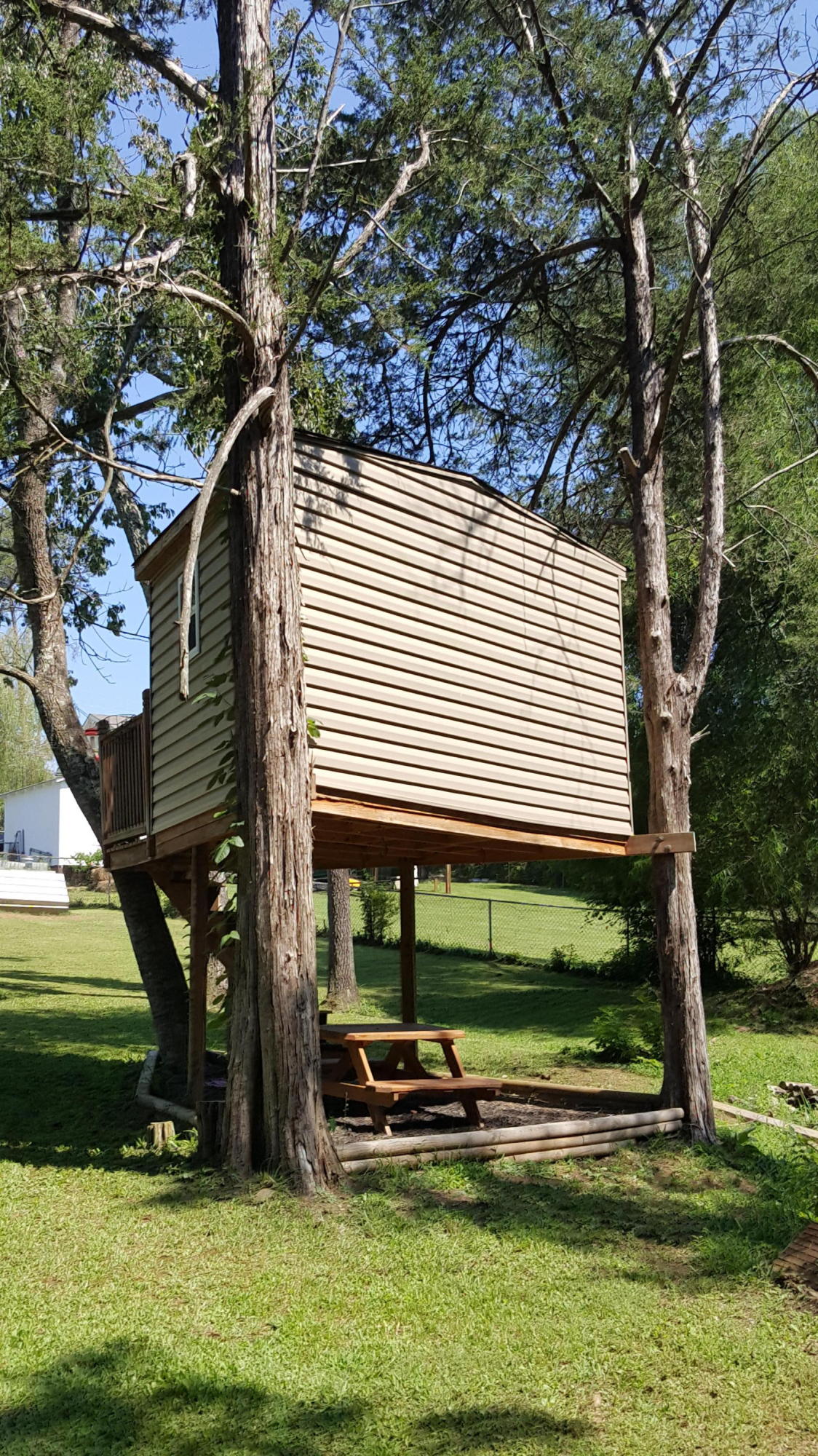 3427 Ralph Phelps Road Louisville, TN 37777 - Photo 13 of 34 Tree House